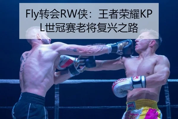 Fly转会RW侠：王者荣耀KPL世冠赛老将复兴之路